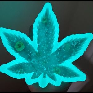 ✨GlowInTheDark Ashtray/Decor✨